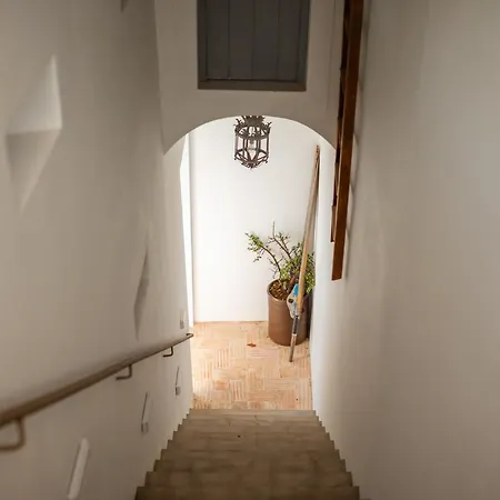 Casa Da Rocha בית נופש Câmara de Lobos